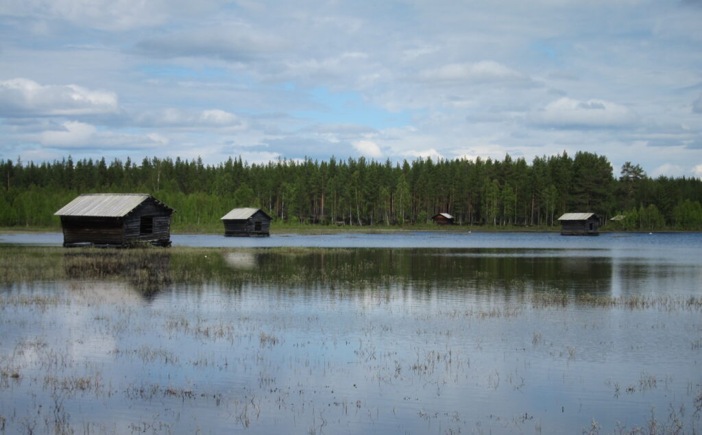 Naturbild med vy över dammar i förgrunden och viste i bakgrunden.