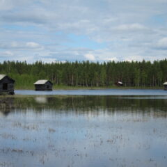 Naturbild med vy över dammar i förgrunden och viste i bakgrunden.