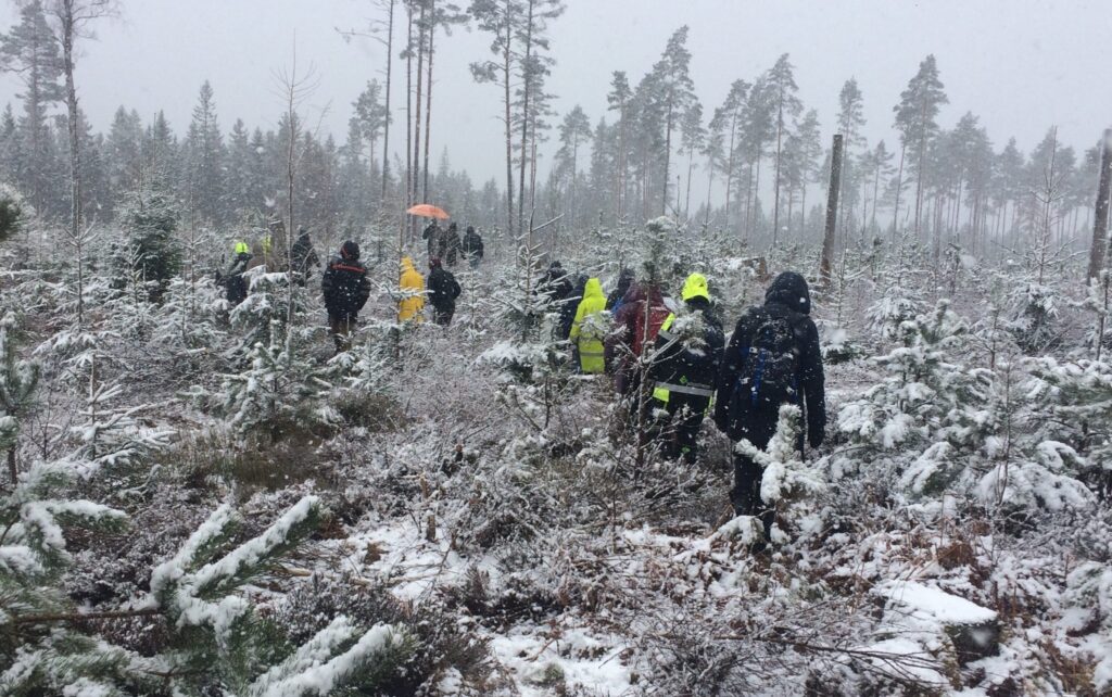 I ett snöoväder vandrar personer i ojämn skogsterräng med små granar