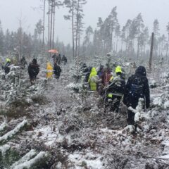 I ett snöoväder vandrar personer i ojämn skogsterräng med små granar