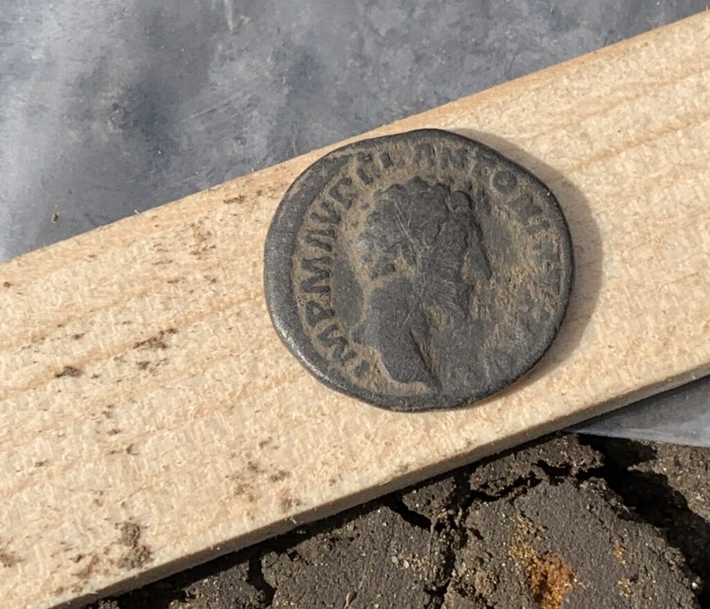 Medeltida mynt ligger på en trästav. På myntet är ett huvudsiluett ingraverat
