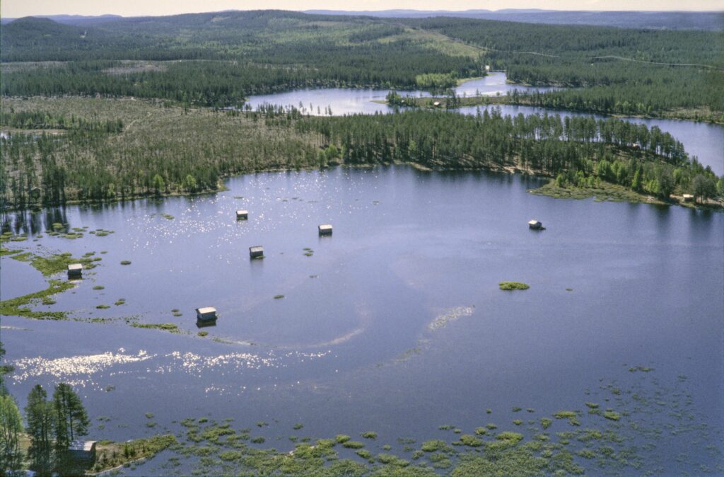 Landskap med skog och vattenfylld ängsmark, mitt i flera ängslador som står i vatten.