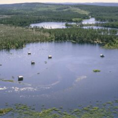 Landskap med skog och vattenfylld ängsmark, mitt i flera ängslador som står i vatten.